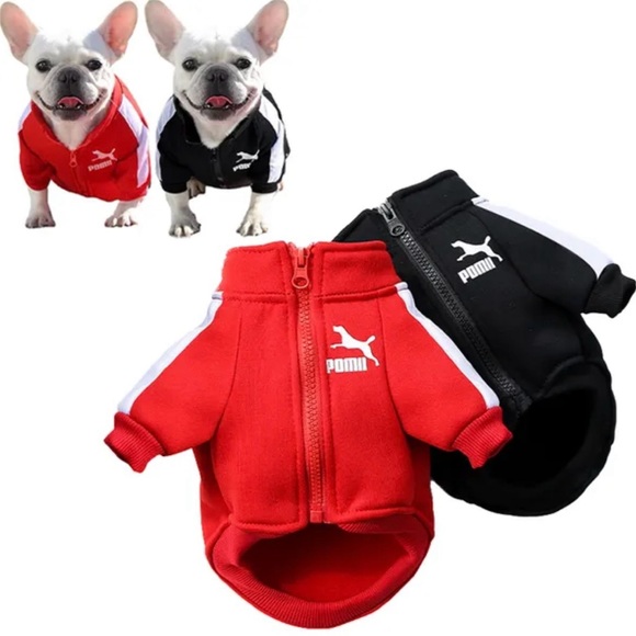 Dog baseball jacket various sizes Small-Large - Picture 4 of 6